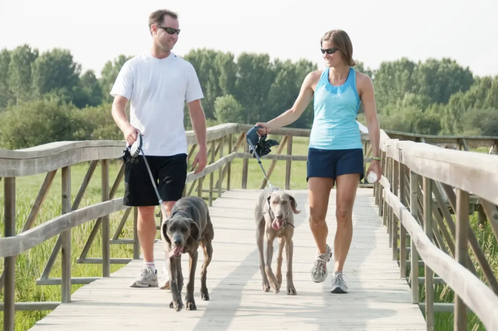 The Power of Paws: How Pets Boost Your Mental Health 2 Screen Shot 2025 09 11 at 11.35.53 AM copy by Miami Therapist Lotus Counseling