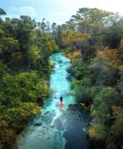 life coaching 2.jpg 1 by Miami Therapist Lotus Counseling